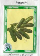 Огірок Регал 100 н