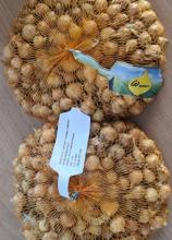 Цибуля саджанка Штутті кругл. (фр.2) фасовка по 1кг