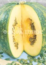Насіння Гарбуз Голонасінний на вагу 1кг