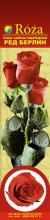 Троянда Ред_берлин