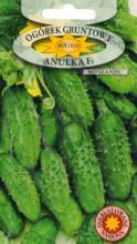 Огірок Анулька F1, 5 г