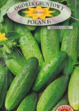 Огірок Полан F1