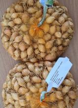 Цибуля саджанка Брекстон довг. (фр.2) фасовка по 1кг