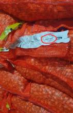 Цибуля саджанка Ексібішн довга (фр. 2) 1кг