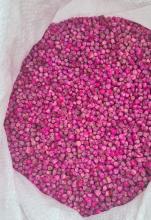 Насіння Горох Чудо Кельведона (Польща) ваговий 1 кг