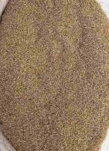 Вівсяниця червона Касандра на вагу 1 кг