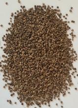 Буряк столовий Бичача кров ваговий 1 кг