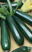 Насіння Кабачок Чорний красень ваговий 1 кг