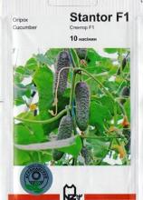 Огірок Стентор F1, 10 н