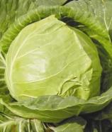 Насіння Капуста Золотий гектар вагова 1 кг