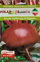 Буряк "SPOJNIA" Єгипетський плоский 50 г