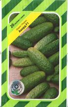Огірок Аккорд 20 н